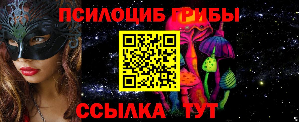 Галлюциногенные грибы Psilocybe Каменск-Уральский