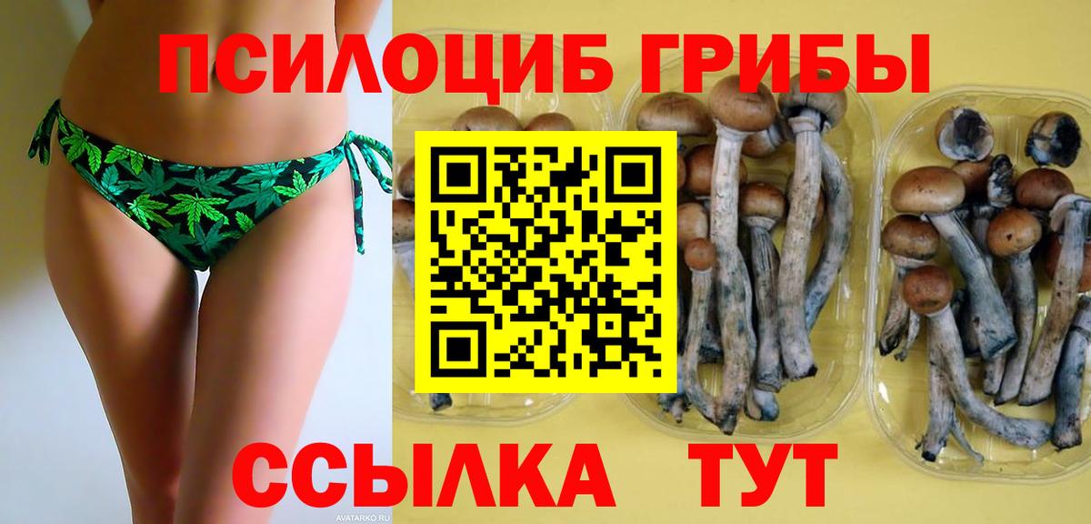 Галлюциногенные грибы GOLDEN TEACHER  Вход с VPN  Каменск-Уральский 